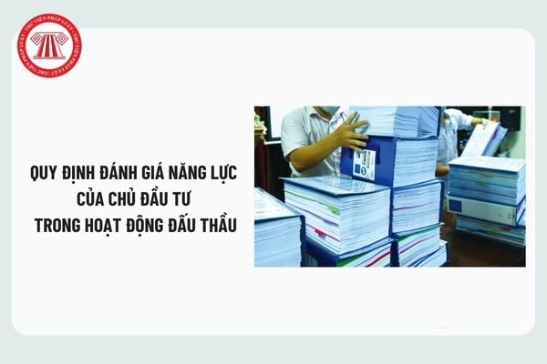 Pháp luật