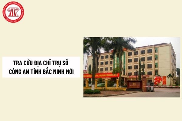 Pháp luật