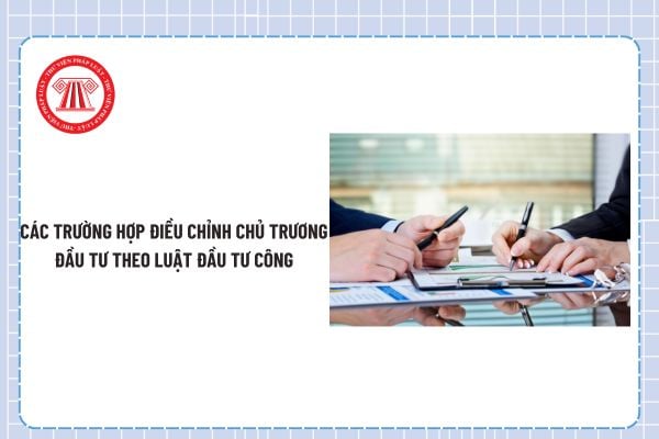 Pháp luật