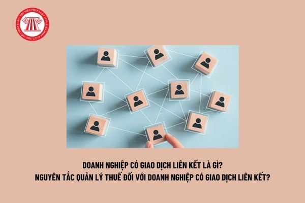 Doanh nghiệp có giao dịch liên kết là gì? Nguyên tắc quản lý thuế đối với doanh nghiệp có giao dịch liên kết theo Nghị định 132?