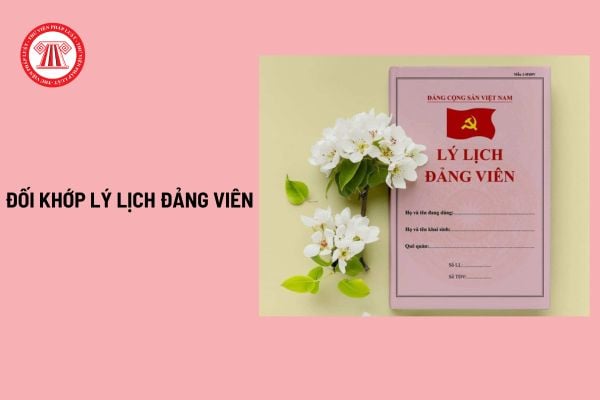 Đối khớp lý lịch đảng viên là gì? Cấp ủy cơ sở đối khớp lý lịch đảng viên theo Hướng dẫn 12 như thế nào?