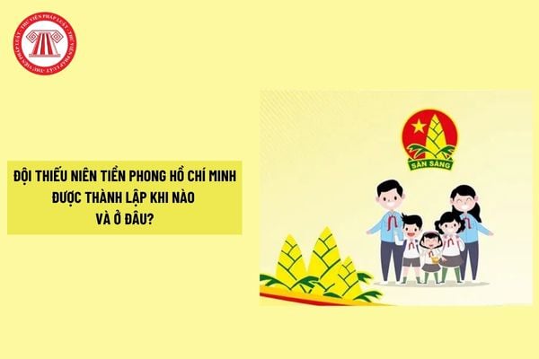 Pháp luật