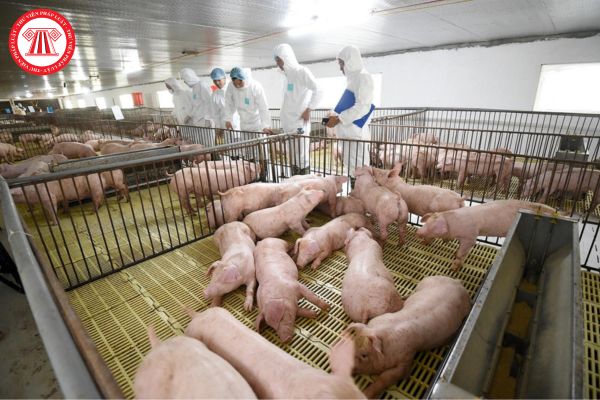 Cơ sở giết mổ động vật dùng làm nguyên liệu chế biến thực phẩm halal phải đáp ứng những yêu cầu nào?