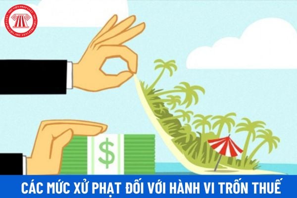 Hành vi trốn thuế được hiểu như thế nào? Các mức xử phạt vi phạm hành chính đối với hành vi trốn thuế theo quy định hiện nay?