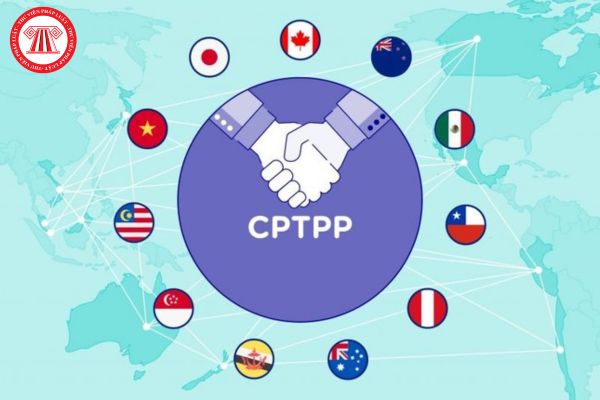 Hiệp định CPTPP là gì? Chứng từ chứng nhận xuất xứ hàng hóa trong Hiệp định CPTPP bị từ chối khi nào?