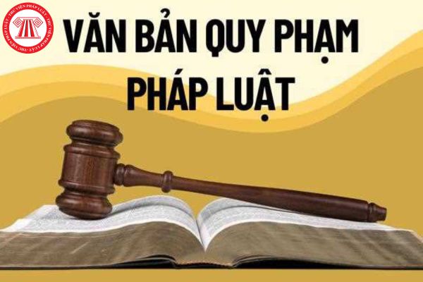 Hiệu lực của văn bản quy phạm pháp luật là gì? Hiệu lực trở về trước của văn bản quy phạm pháp luật?