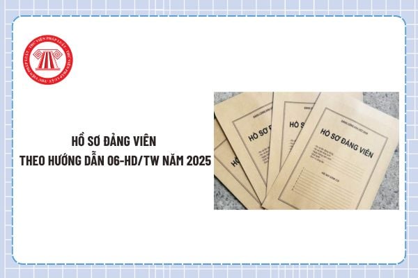 Pháp luật