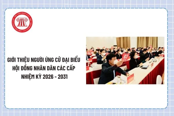 Pháp luật