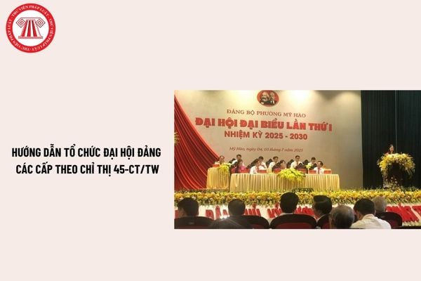 Pháp luật