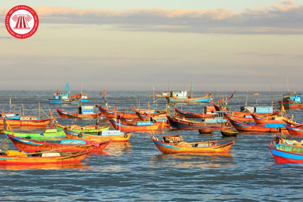 Khai thác thủy sản bất hợp pháp là gì? Tàu nước ngoài có được khai thác thủy sản tại vùng biển Việt Nam hay không?