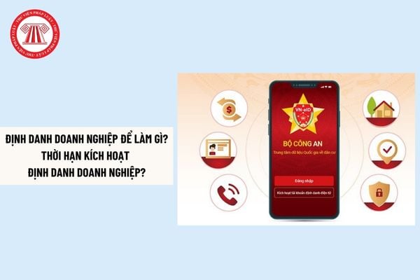 Pháp luật