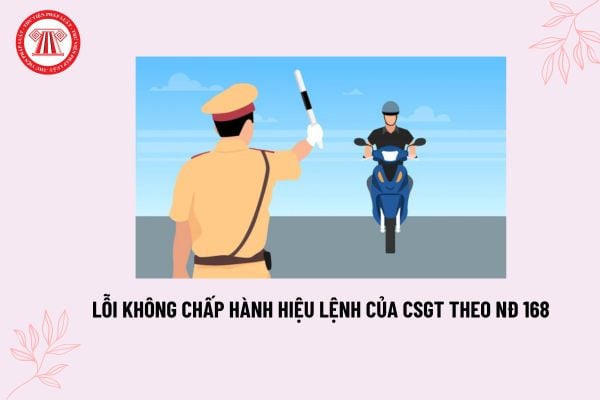 Lỗi không chấp hành hiệu lệnh của CSGT Nghị định 168? Không chấp hành hiệu lệnh phạt bao nhiêu?