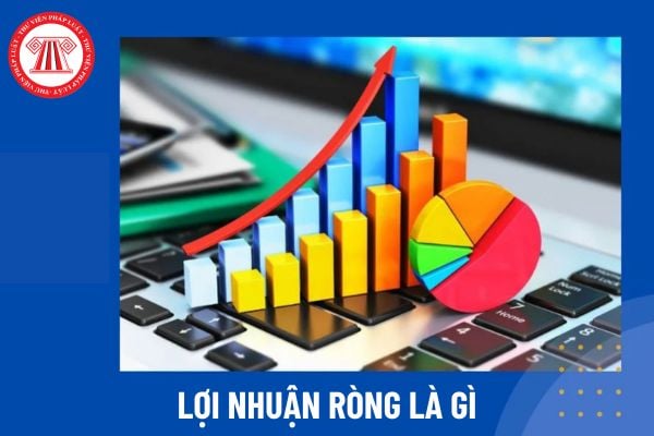 Lợi nhuận ròng là gì? Cổ tức trả cho cổ phần phổ thông có được xác định căn cứ vào lợi nhuận ròng?