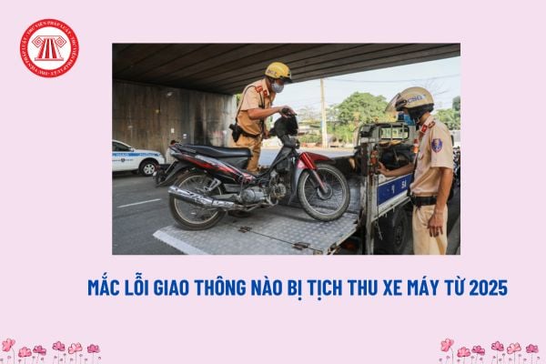 Mắc lỗi giao thông nào bị tịch thu xe máy từ năm 2025? Có bị tước quyền sử dụng giấy phép lái xe không?