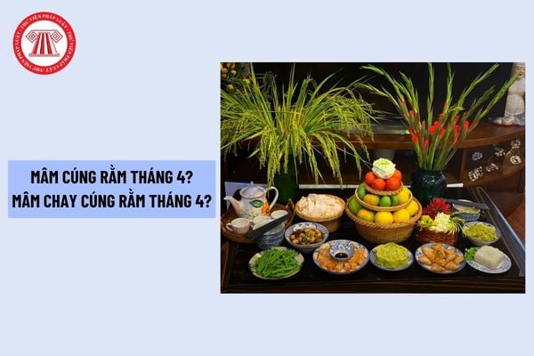 Pháp luật