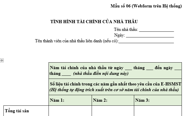 Mẫu kê khai tình hình tài chính của nhà thầu đối với gói thầu dịch vụ phi tư vấn?