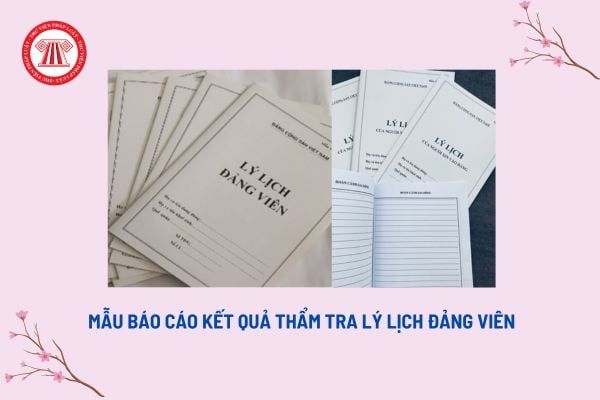 Mẫu báo cáo kết quả thẩm tra lý lịch Đảng viên? Thẩm tra, xác minh lý lịch của người xin vào Đảng thế nào?