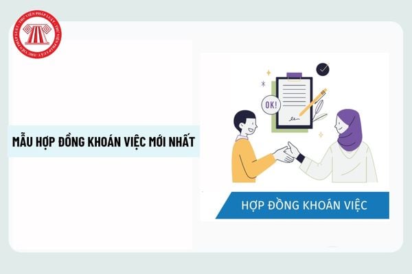Pháp luật