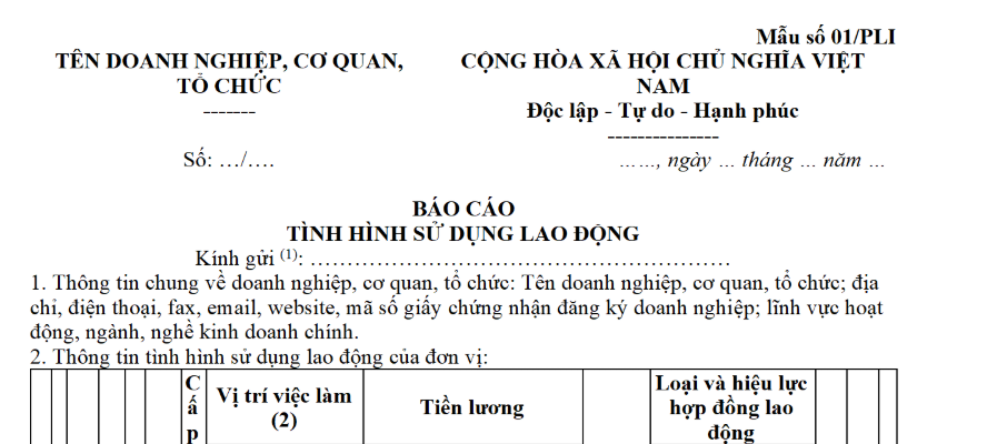 Mẫu báo cáo tình hình sử dụng lao động do doanh nghiệp lập