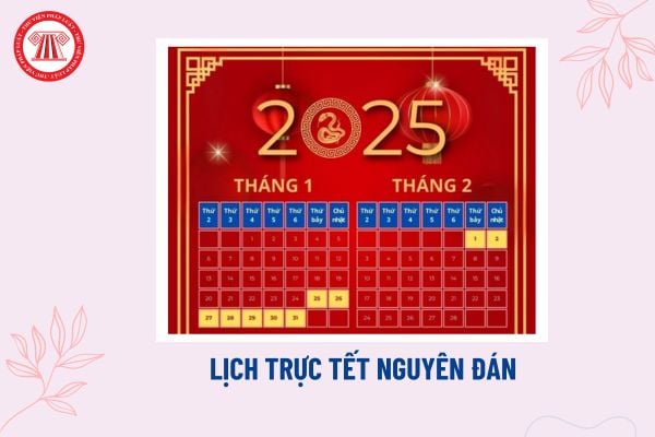 Mẫu lịch trực Tết Nguyên đán? Lịch trực Tết Nguyên đán dành cho cơ quan, doanh nghiệp, đơn vị? 