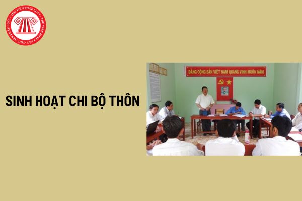 Mẫu nghị quyết sinh hoạt chi bộ thôn mới nhất hiện nay? Có những hình thức sinh hoạt chi bộ nào?