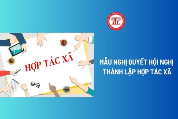 Mẫu nghị quyết hội nghị thành lập hợp tác xã mới nhất? Nghị quyết được biểu quyết theo nguyên tắc nào?