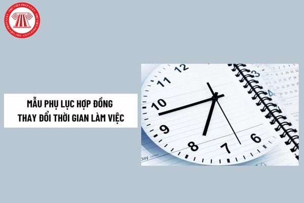 Pháp luật