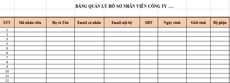 Mẫu quản lý hồ sơ nhân viên tổng hợp chi tiết