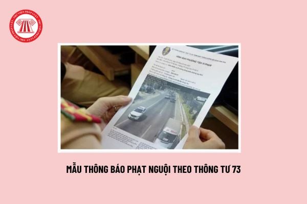 Mẫu thông báo phạt nguội theo Thông tư 73? Các bước giải quyết, xử lý phạt nguội thế nào? csgt vn tra cứu phạt nguội?