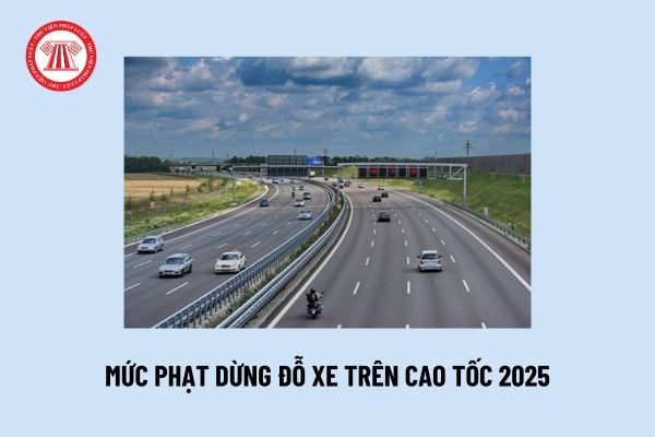 Mức phạt dừng đỗ xe trên cao tốc 2025? Lỗi dừng đỗ xe trên đường cao tốc không đúng nơi quy định?