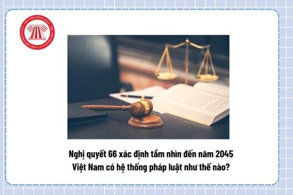 Pháp luật