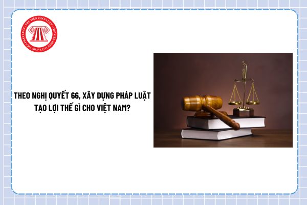 Pháp luật