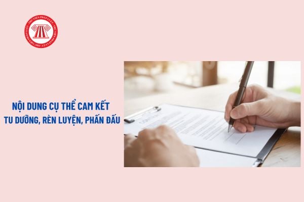 Nội dung cụ thể cam kết tu dưỡng rèn luyện phấn đấu? Bản cam kết tu dưỡng rèn luyện phấn đấu của cán bộ, Đảng viên?