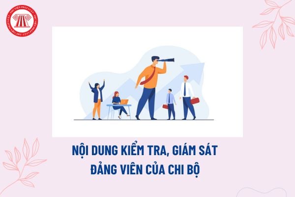 Nội dung kiểm tra giám sát đảng viên của chi bộ? Nguyên tắc trong kiểm tra, giám sát và kỷ luật Đảng thế nào?