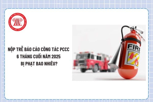 Pháp luật