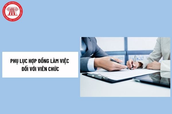 Pháp luật