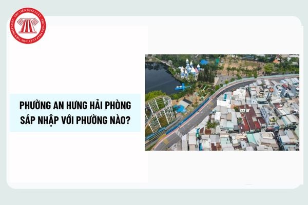 Pháp luật