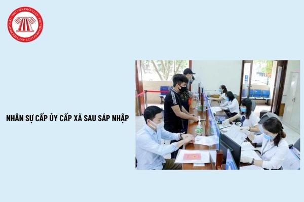 Pháp luật