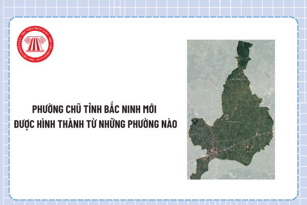 Pháp luật