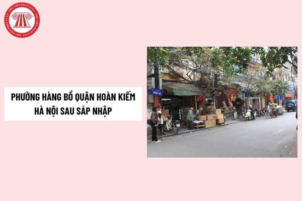 Pháp luật