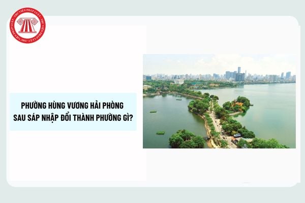 Pháp luật