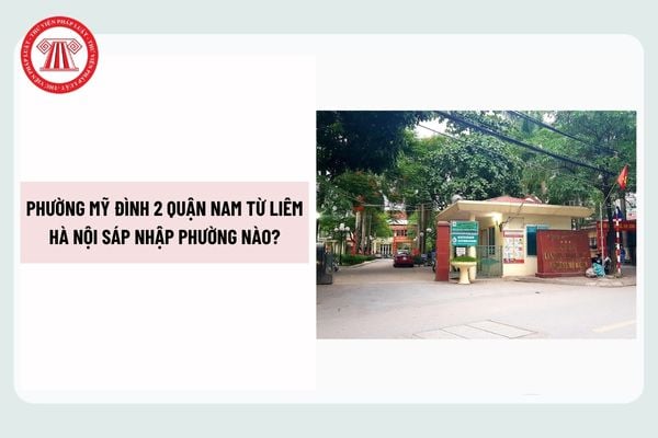 Pháp luật