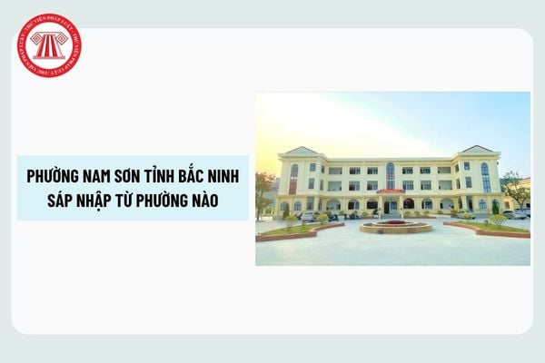 Pháp luật