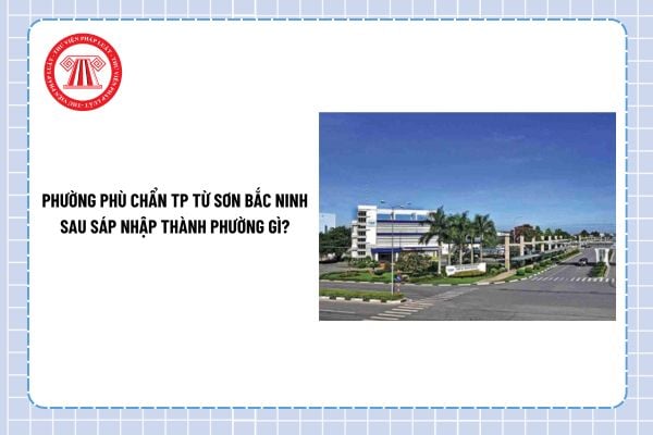 Pháp luật