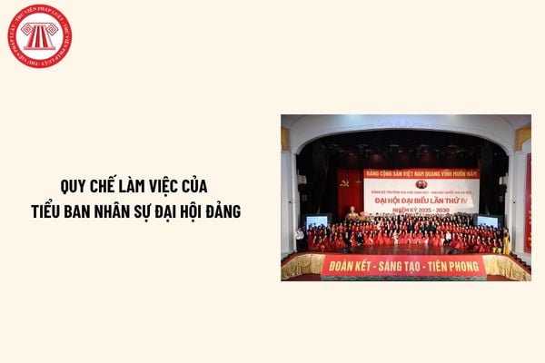Pháp luật