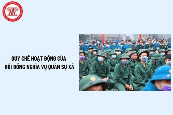 Pháp luật