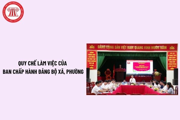 Pháp luật