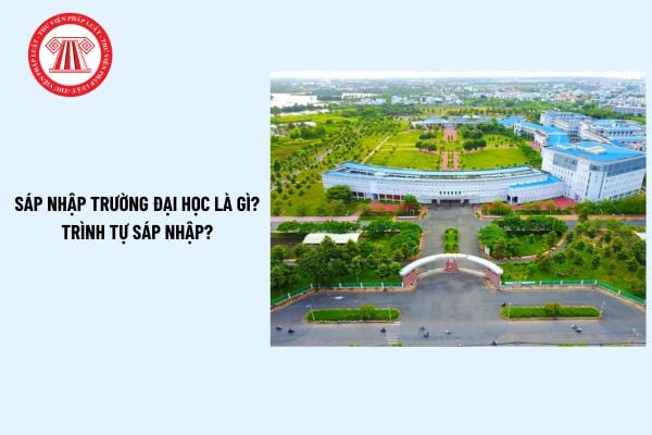 Sáp nhập trường đại học là gì? Trình tự thực hiện sáp nhập trường đại học được quy định thế nào?