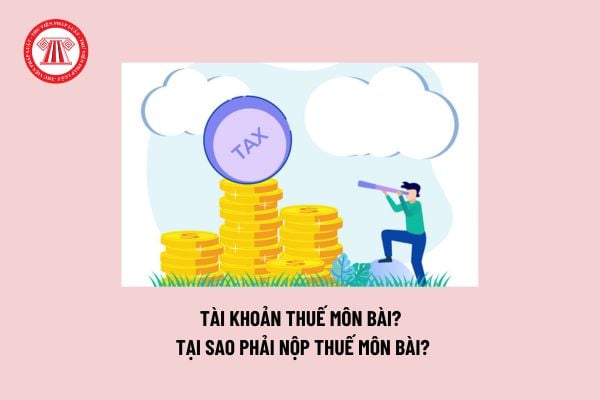 Tài khoản thuế môn bài? Tại sao phải nộp thuế môn bài? Căn cứ xác định mức thu lệ phí môn bài đối với doanh nghiệp?