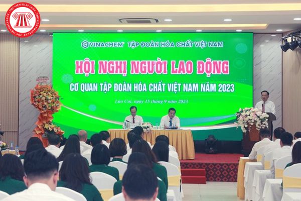 Người lao động được quyền bỏ phiếu thăm dò tín nhiệm đối với những chức danh nào trong Tập đoàn Hóa chất Việt Nam?